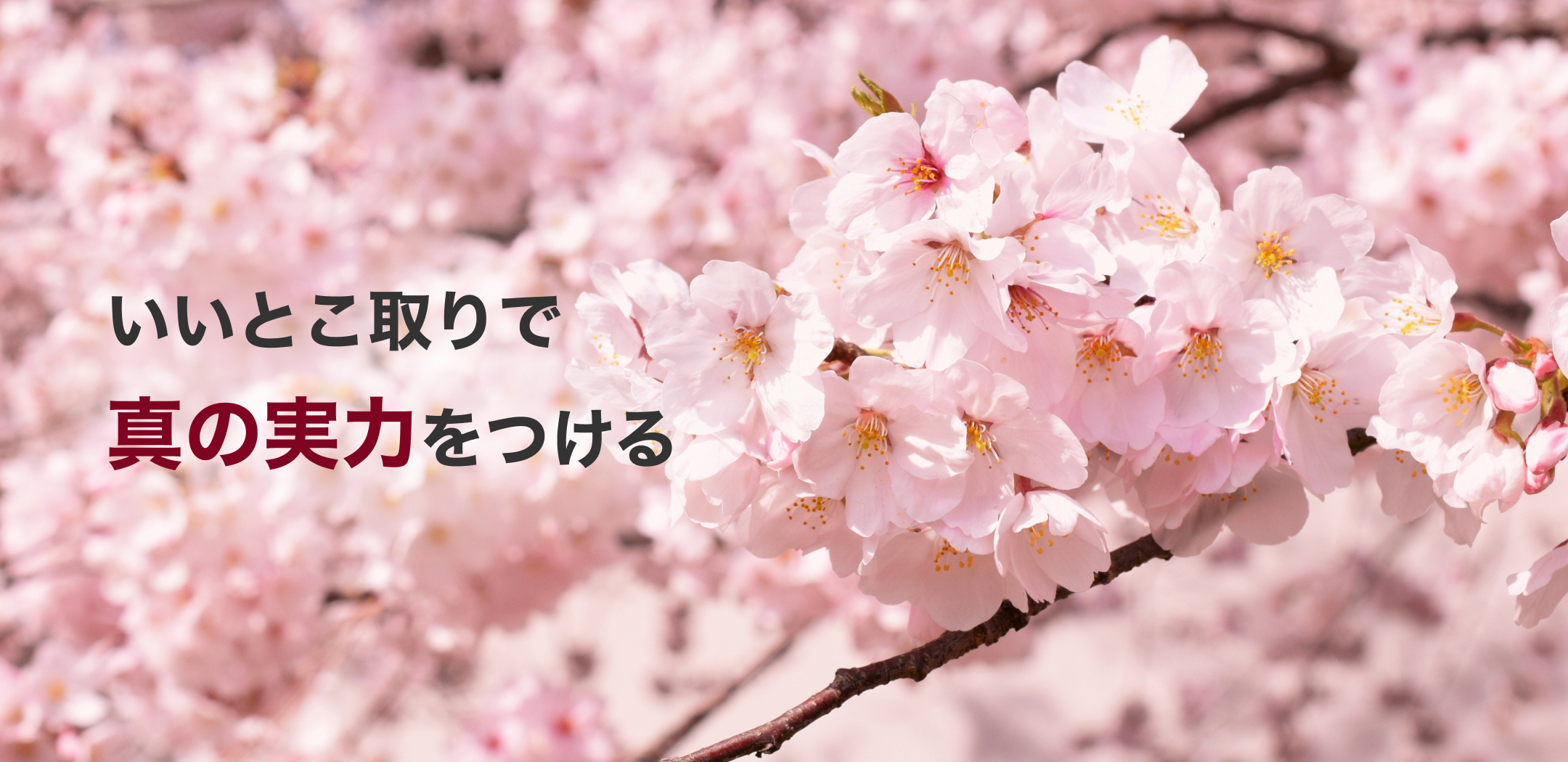 さらに、講師による丁寧な個別対応で真の実力をつける